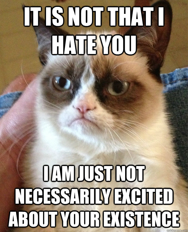 It is not that i hate you i am just not necessarily excited about your existence - It is not that i hate you i am just not necessarily excited about your existence  Misc