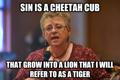 sin is a cheetah cub that grow into a lion that i will refer to as a tiger - sin is a cheetah cub that grow into a lion that i will refer to as a tiger  Becky Fischer Logic