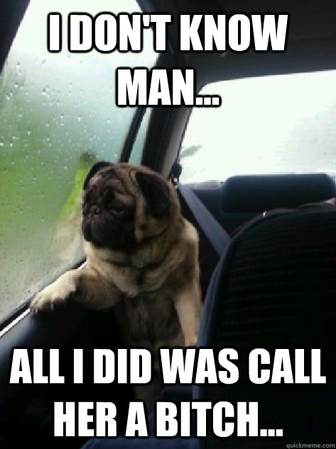 I don't know man... All i did was call her a bitch...  Introspective Pug