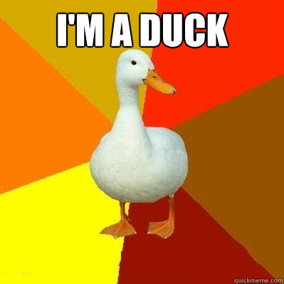 I'm a duck   Tech Impaired Duck
