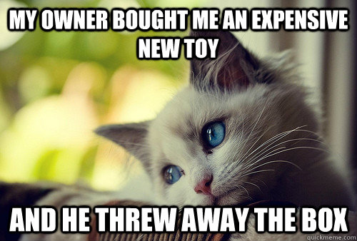 My owner bought me an expensive new toy And he threw away the box  First World Cat Problems