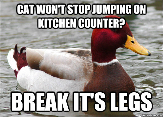 Cat won't stop jumping on kitchen counter? break it's legs  Malicious Advice Mallard