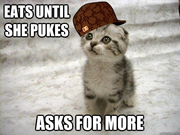 Eats until she pukes asks for more  Scumbag Cat