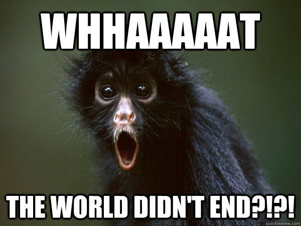 WHHAAAAAT THE WORLD DIDN'T END?!?!  Shock the monkey