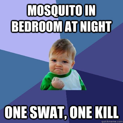 Mosquito in bedroom at night one swat, one kill - Mosquito in bedroom at night one swat, one kill  Success Kid