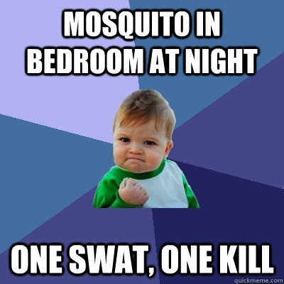 Mosquito in bedroom at night one swat, one kill  Success Kid