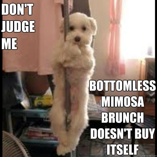 Don't judge me Bottomless mimosa brunch doesn't buy itself - Don't judge me Bottomless mimosa brunch doesn't buy itself  Pole dancing dog
