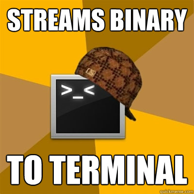 STREAMS BINARY TO TERMINAL  