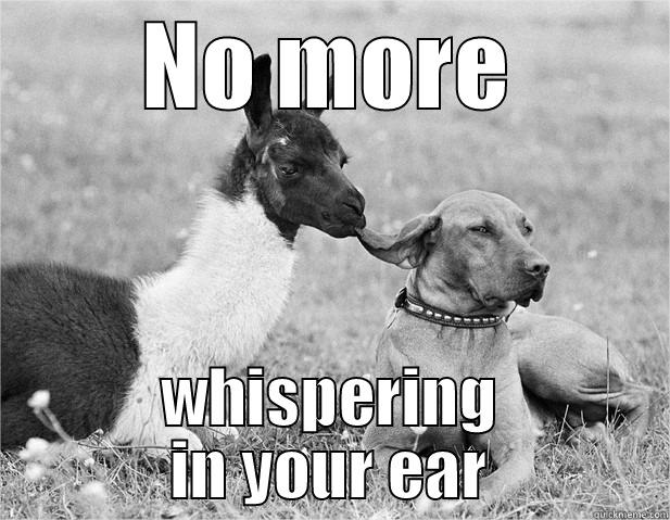 NO MORE WHISPERING IN YOUR EAR Misc