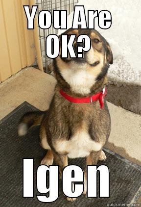 YOU ARE OK? IGEN Good Dog Greg