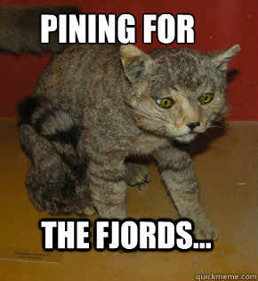 Pining for the fjords... - Pining for the fjords...  pining cat