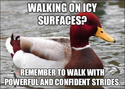 Walking on icy surfaces? Remember to walk with powerful and confident strides.  Malicious Advice Mallard