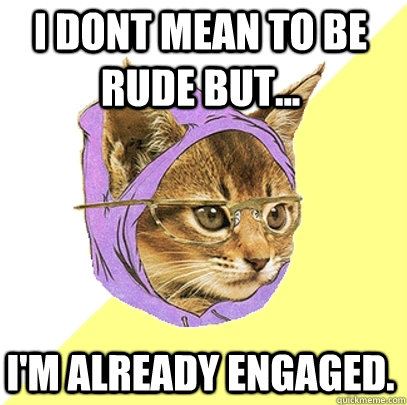 I dont mean to be rude but... I'm already engaged.   Hipster Kitty