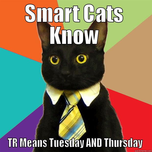 SMART CATS KNOW TR MEANS TUESDAY AND THURSDAY Business Cat