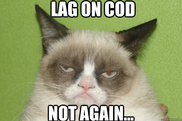 Lag on cod Not again... - Lag on cod Not again...  GrumpyCat1