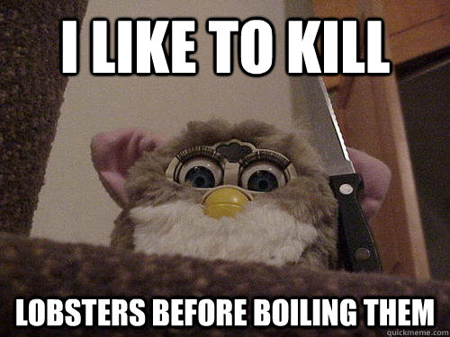 I like to kill lobsters before boiling them - I like to kill lobsters before boiling them  Not so evil Furby