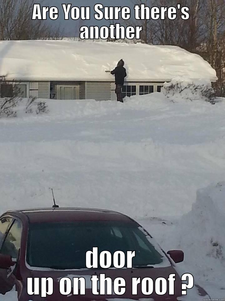 ARE YOU SURE THERE'S ANOTHER DOOR UP ON THE ROOF ? Misc