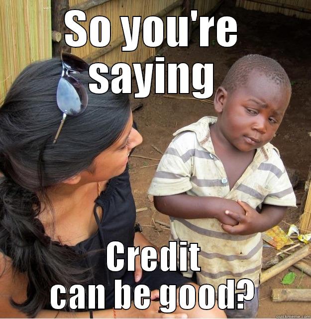 SO YOU'RE SAYING CREDIT CAN BE GOOD? Skeptical Third World Kid