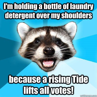 I'm holding a bottle of laundry detergent over my shoulders because a rising Tide lifts all votes!  Lame Pun Coon