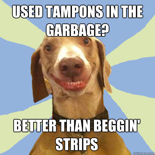 Used tampons in the garbage? Better than Beggin' strips  