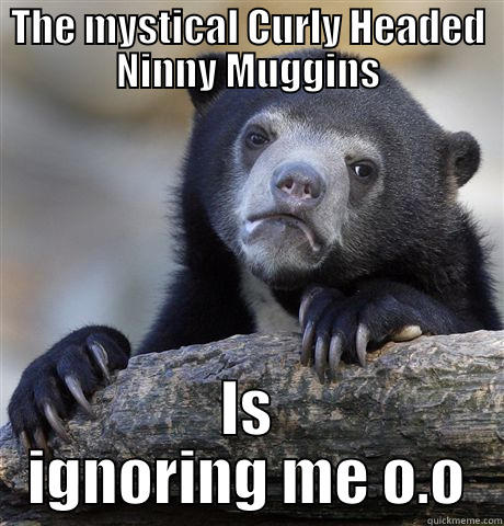 THE MYSTICAL CURLY HEADED NINNY MUGGINS IS IGNORING ME O.O Confession Bear