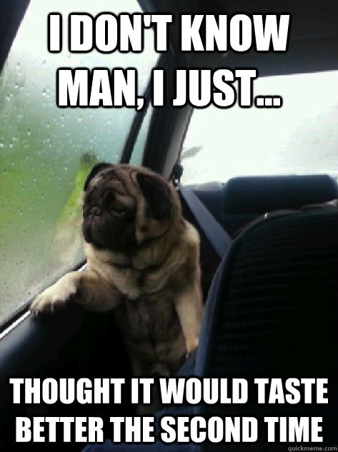 I don't know man, I just... Thought it would taste better the second time - I don't know man, I just... Thought it would taste better the second time  Introspective Pug