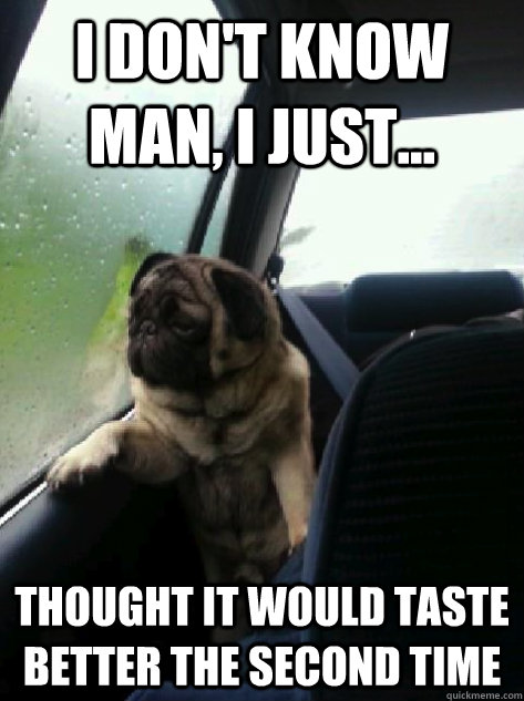 I don't know man, I just... Thought it would taste better the second time  Introspective Pug