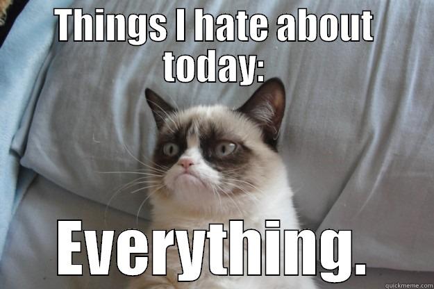 THINGS I HATE ABOUT TODAY: EVERYTHING. Grumpy Cat