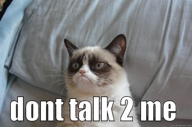  DONT TALK 2 ME Grumpy Cat