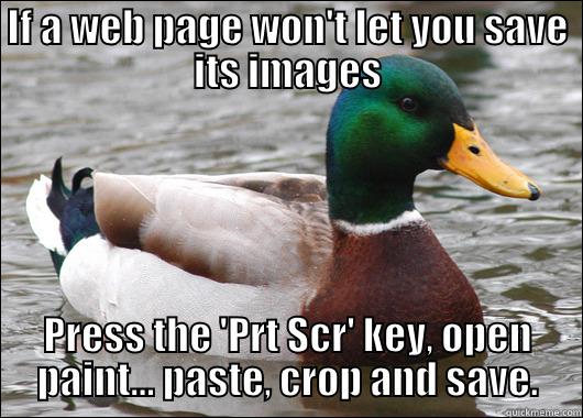 IF A WEB PAGE WON'T LET YOU SAVE ITS IMAGES PRESS THE 'PRT SCR' KEY, OPEN PAINT... PASTE, CROP AND SAVE. Actual Advice Mallard