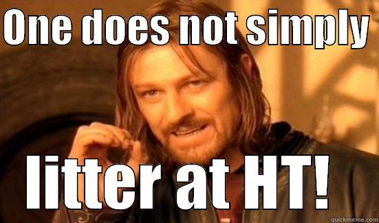ONE DOES NOT SIMPLY  LITTER AT HT!  Boromir