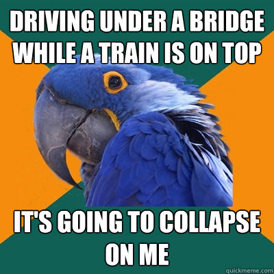 Driving under a bridge while a train is on top It's going to collapse on me  Paranoid Parrot
