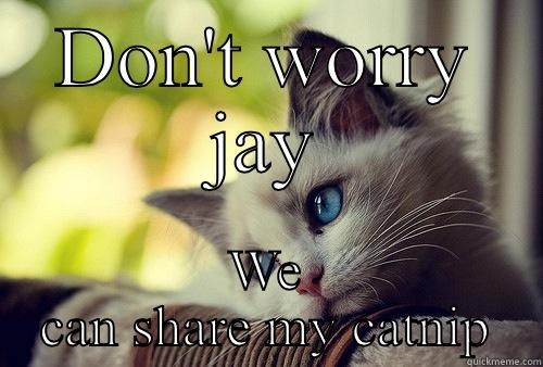 DON'T WORRY JAY WE CAN SHARE MY CATNIP First World Problems Cat