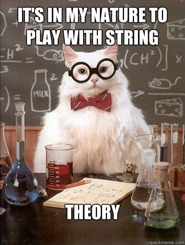 It's in my nature to play with string

 Theory  Science Cat
