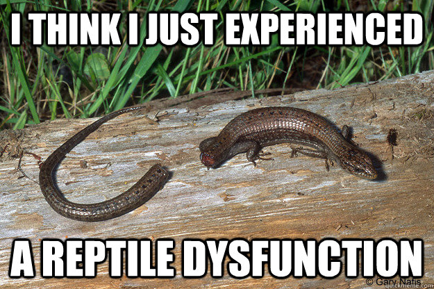 I think I just experienced A reptile dysfunction - I think I just experienced A reptile dysfunction  Misc