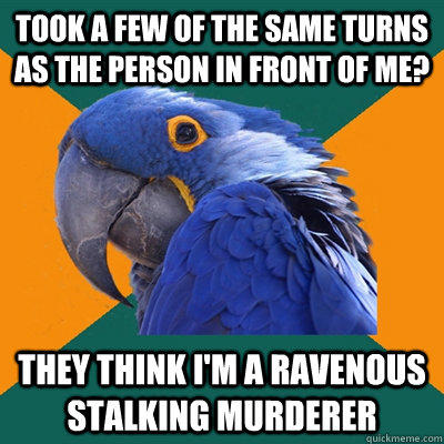 took a few of the same turns as the person in front of me? they think i'm a ravenous stalking murderer  Paranoid Parrot