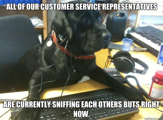 all of our customer service representatives are currently sniffing each others buts right now.   Tech Support Dog