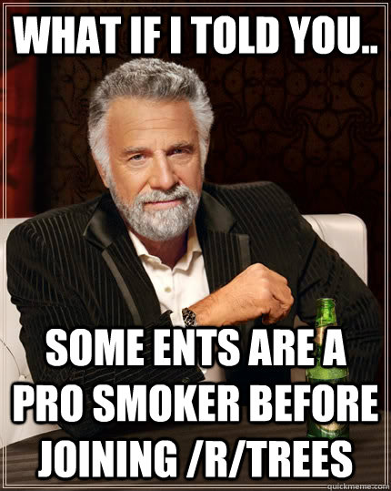 What if i told you.. some ents are a pro smoker before joining /r/trees  The Most Interesting Man In The World