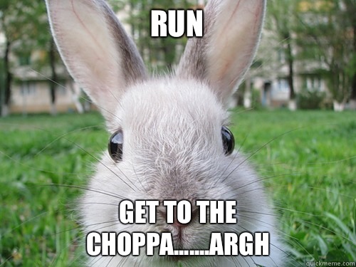 RUN GET TO THE CHOPPA.......ARGH  Rabbit webcam