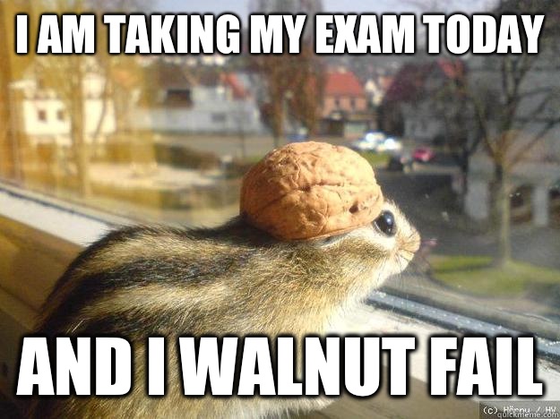 I am taking my exam today And I walnut fail - I am taking my exam today And I walnut fail  Adventure Chipmunk