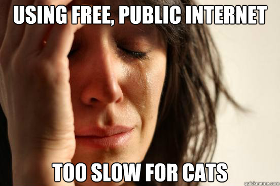 Using free, public internet too slow for cats  First World Problems