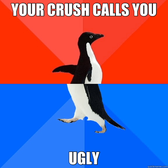 YOUR CRUSH CALLS YOU UGLY  Socially Awesome Awkward Penguin