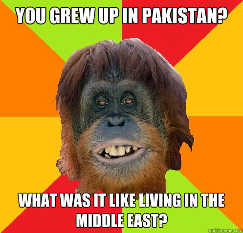 You grew up in Pakistan? What was it like living in the middle east?  Culturally Oblivious Orangutan