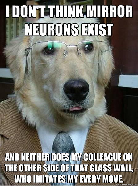 I don't think mirror neurons exist And neither does my colleague on the other side of that glass wall, who imitates my every move. - I don't think mirror neurons exist And neither does my colleague on the other side of that glass wall, who imitates my every move.  Professor Dog