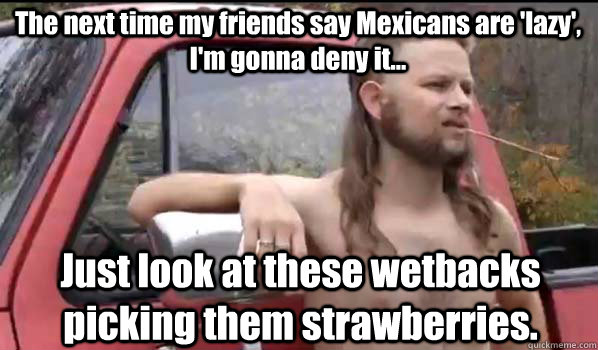 The next time my friends say Mexicans are 'lazy', I'm gonna deny it... Just look at these wetbacks picking them strawberries.  Almost Politically Correct Redneck