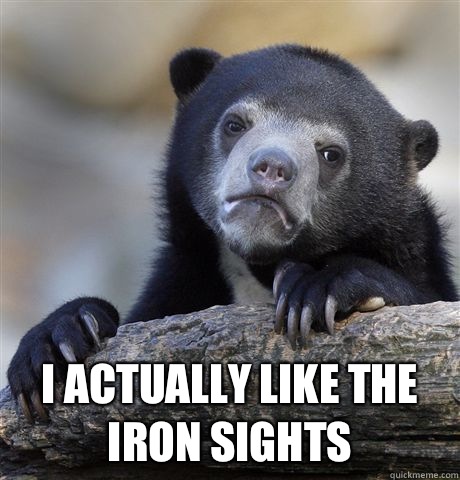  I actually like the iron sights  Confession Bear