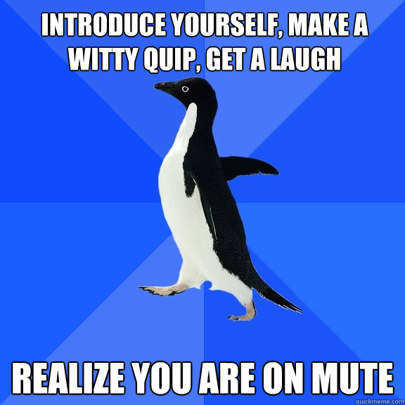 Introduce yourself, make a witty quip, get a laugh Realize you are on mute  Socially Awkward Penguin
