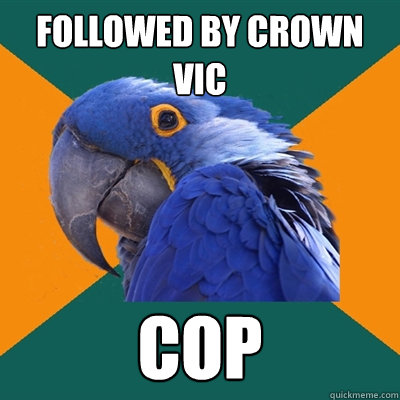 followed by crown vic cop  Paranoid Parrot