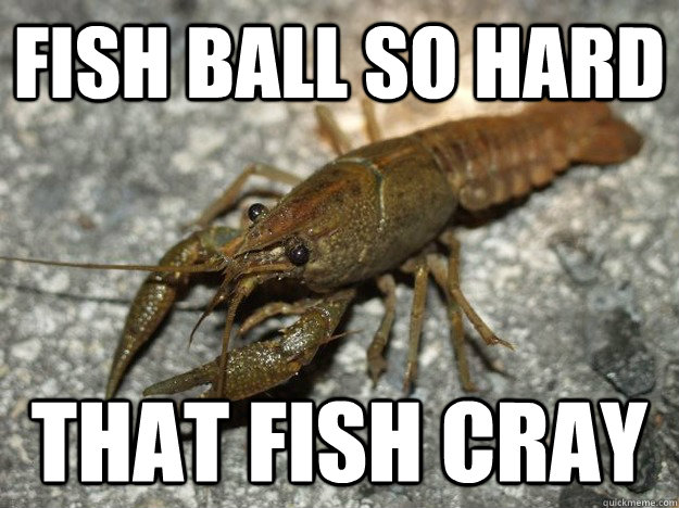 Fish ball so hard that fish cray - Fish ball so hard that fish cray  that fish cray