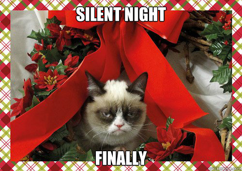 silent night Finally - silent night Finally  A Grumpy Cat Christmas